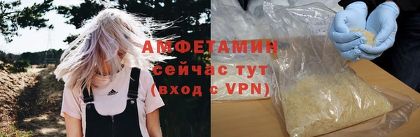 ПСИЛОЦИБИНОВЫЕ ГРИБЫ Туринск