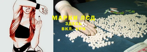 ПСИЛОЦИБИНОВЫЕ ГРИБЫ Туринск