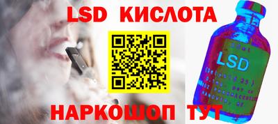 индика Камышлов