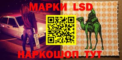 индика Камышлов