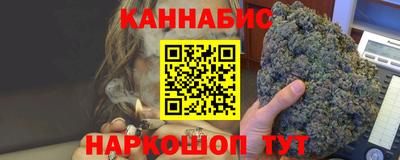 индика Камышлов