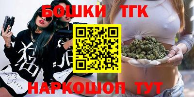 индика Камышлов