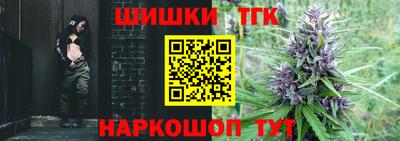 индика Камышлов