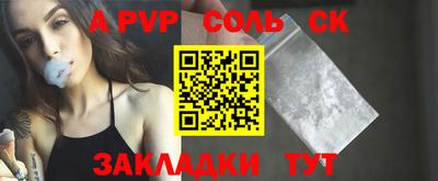 индика Камышлов