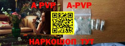 индика Камышлов