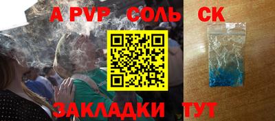 индика Камышлов