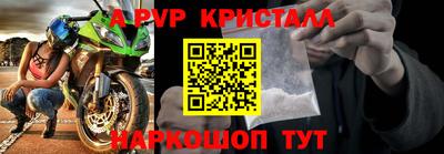 jwh Кингисепп