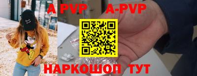 индика Камышлов