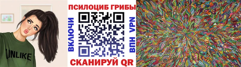 блэк спрут ССЫЛКА  Чернушка  Галлюциногенные грибы Psilocybe 