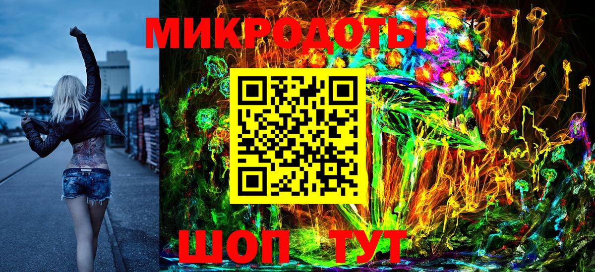 Галлюциногенные грибы Psilocybe Чернушка