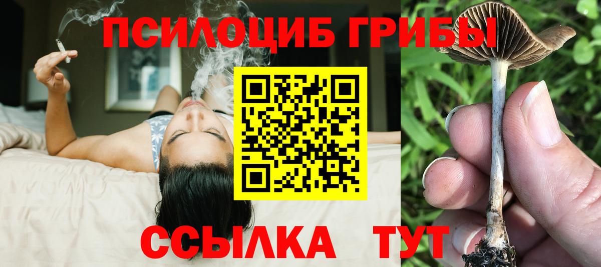 Галлюциногенные грибы Magic Shrooms Чернушка